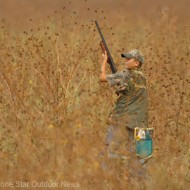 TPW to wrap up dove lethality bird collecting